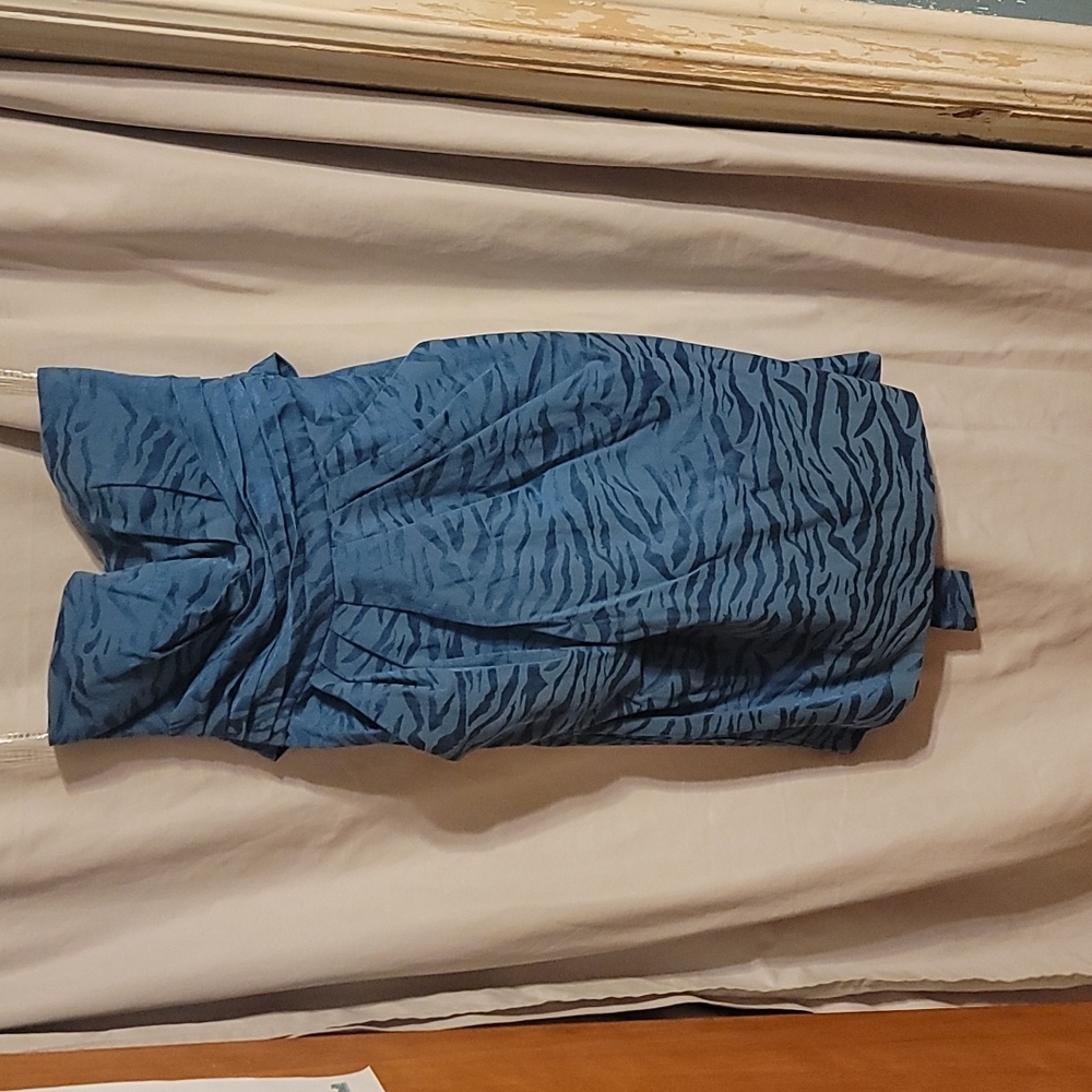 Snap Blue Zebra Strapless with Pockets